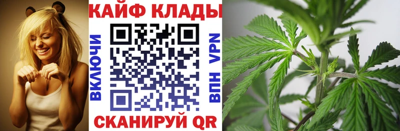 Купить наркоту Рошаль Альфа ПВП Кокаин OMG ТОР Меф мяу мяу Конопля ГАШИШ