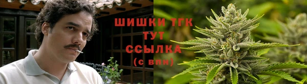 Альфа ПВП Пролетарск